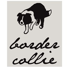Adesivo Border Collie - Rodeo West 14010