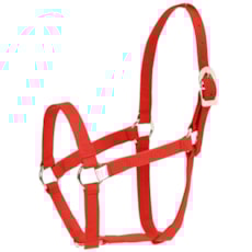 Cabresto para Cavalo com Cabo Kauana Vermelho 21582 Cabresto para Cavalo com Cabo Kauana Vermelho 21582