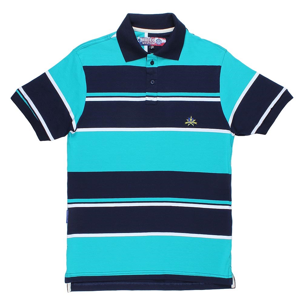 camisas marca polo masculina