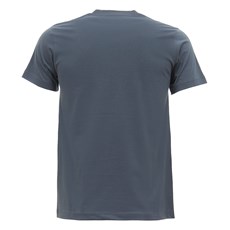 Camiseta Masculina Cinza Estampada Made In Mato 29966