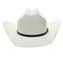 Chapéu de Cowboy Branco Texas Diamond 25029