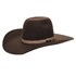 Chapéu de Feltro Cowboy Marrom Texas Diamond 26269