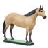 Escultura Cavalo Quarto de Milha Baio em Resina Home Western Decor 27492