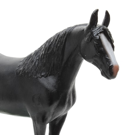 Featured image of post Cavalo Mangalarga Marchador Preto E Branco