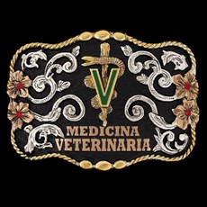 Fivela Master Premium Veterinária Fundo Negro com Detalhes em Strass 12464